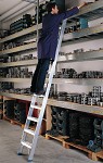 Professional leaning Al ladder 6028