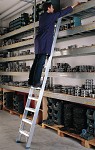 Professional leaning Al ladder 6048 
