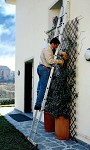 Ladder type 680