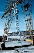 Professional extendable Al ladder 3046