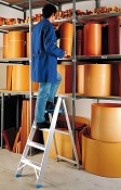 Ladder type 6017