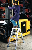 Ladder type 6033