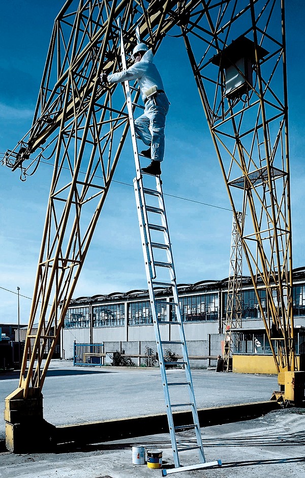 Professional extendable Al ladder 3046