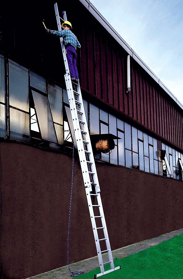 Professional extandable two-part ladder 3051