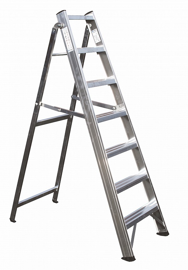 Professional Al ladder 6016